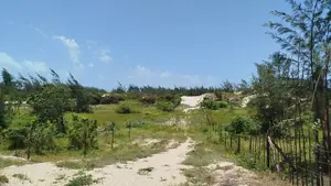 One Acre Second Row Beach for Sale Malindi