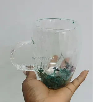 Transparent Double Wall Mug_pa