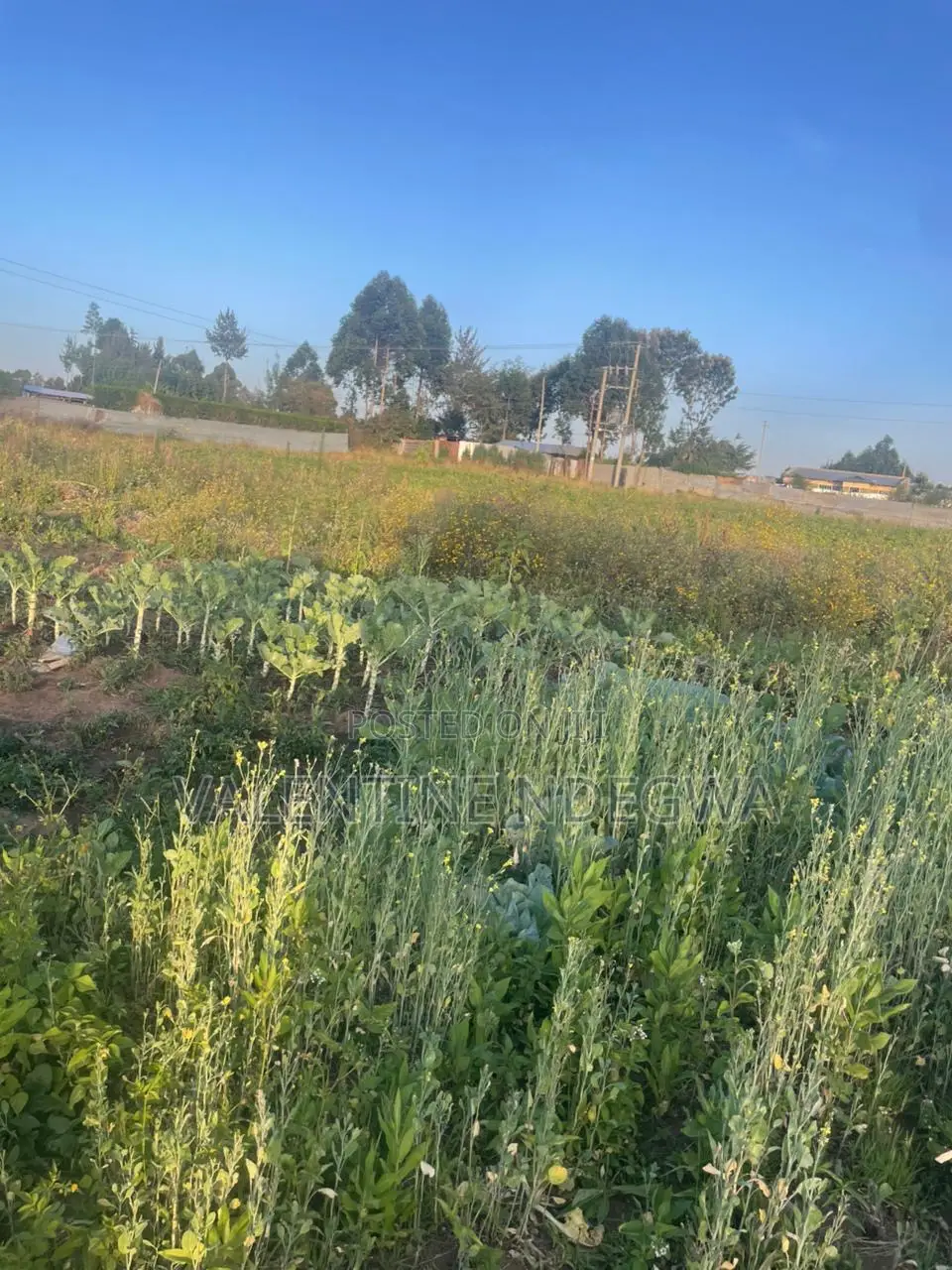 Prime Residential Plot in Rehema Outspan