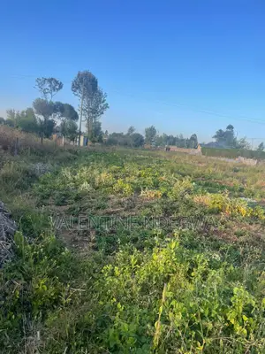 Prime Residential Plot in Rehema Outspan
