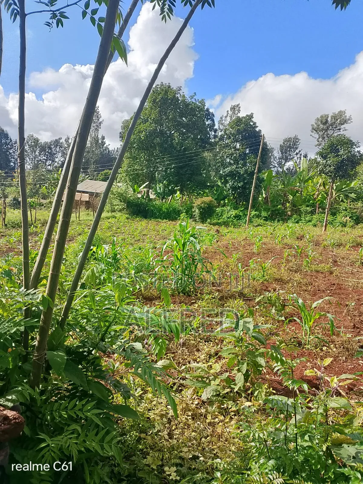 100 by 100 Plot for Sale Embu