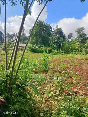 100 by 100 Plot for Sale Embu