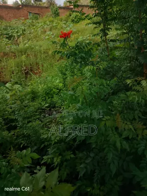 100 by 100 Plot for Sale Embu