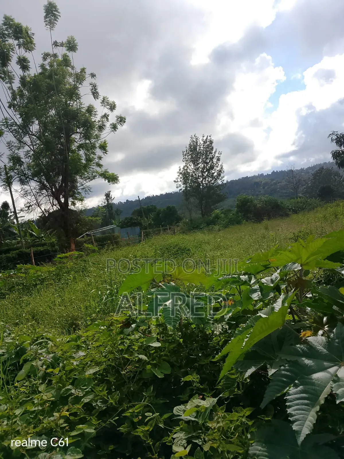100 by 100 Plot for Sale Embu