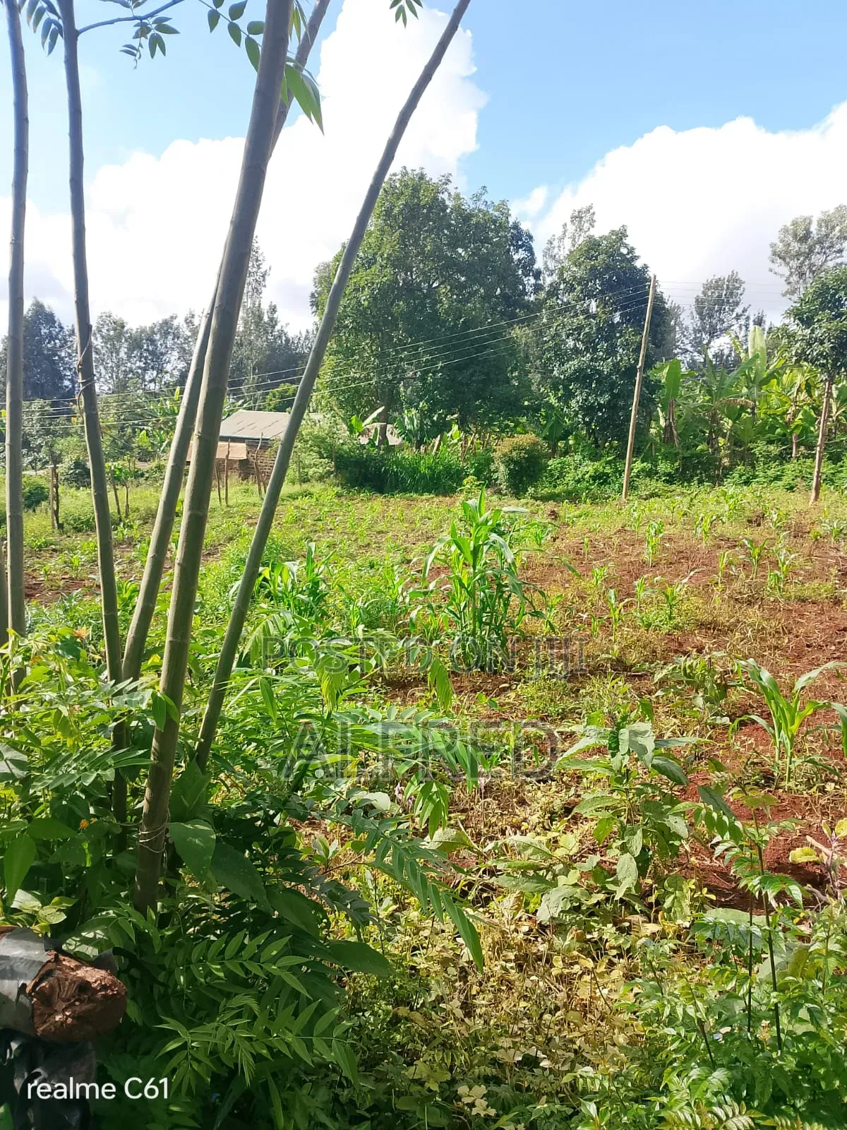 100 by 100 Plot for Sale Embu