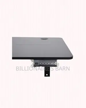 Boost Workflow -1200x600mm Standing Desk Stable Dual-Monitor Support