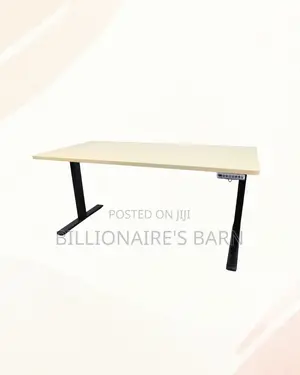 Boost Workflow - 1600x800mm Standing Desk Stable Dual-Monitor Support