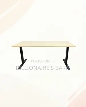 Boost Workflow - 1600x800mm Standing Desk Stable Dual-Monitor Support