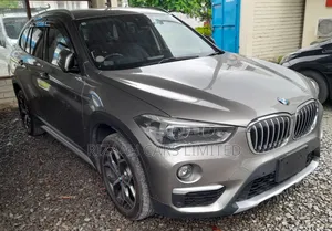 BMW X1 2018 Gray