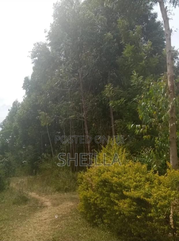 50 by 100 Land for Sale in Bungoma Chemwa