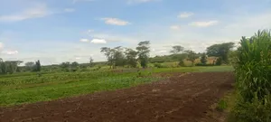 40 Acre Fronting River and Tarmac Road Nanyuki Lamuria