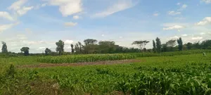 40 Acre Fronting River and Tarmac Road Nanyuki Lamuria