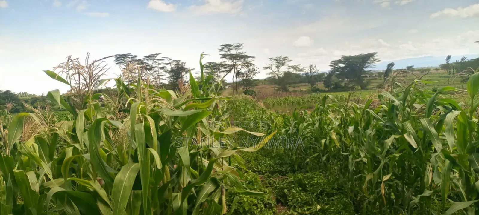 40 Acre Fronting River and Tarmac Road Nanyuki Lamuria