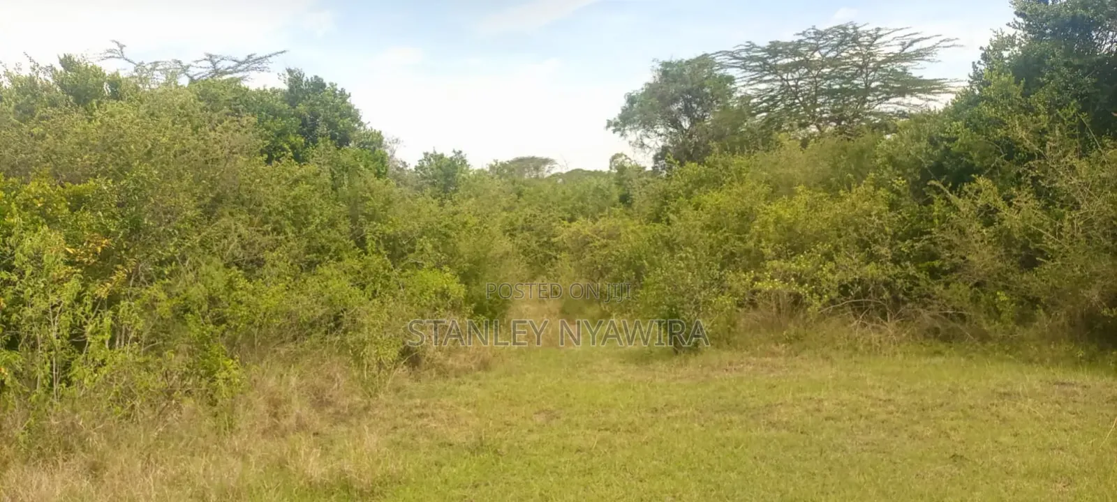 40 Acre Fronting River and Tarmac Road Nanyuki Lamuria
