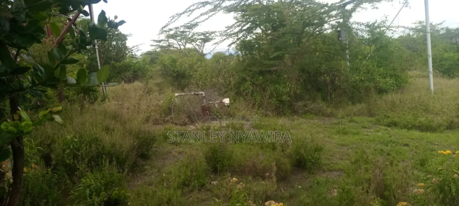 40 Acre Fronting River and Tarmac Road Nanyuki Lamuria