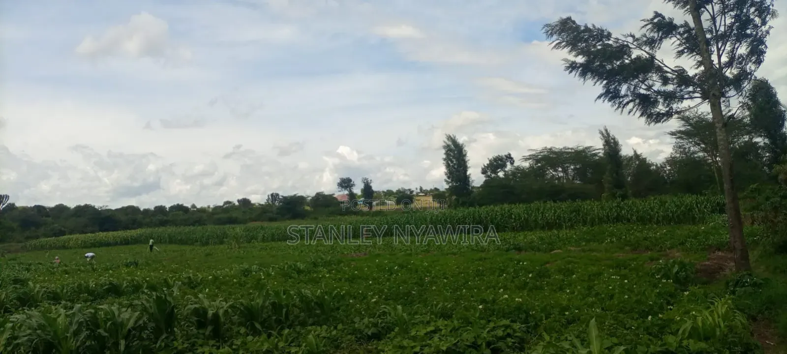 40 Acre Fronting River and Tarmac Road Nanyuki Lamuria