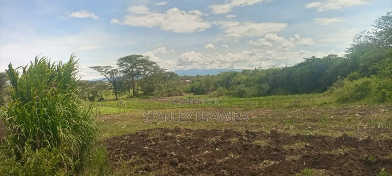40 Acre Fronting River and Tarmac Road Nanyuki Lamuria