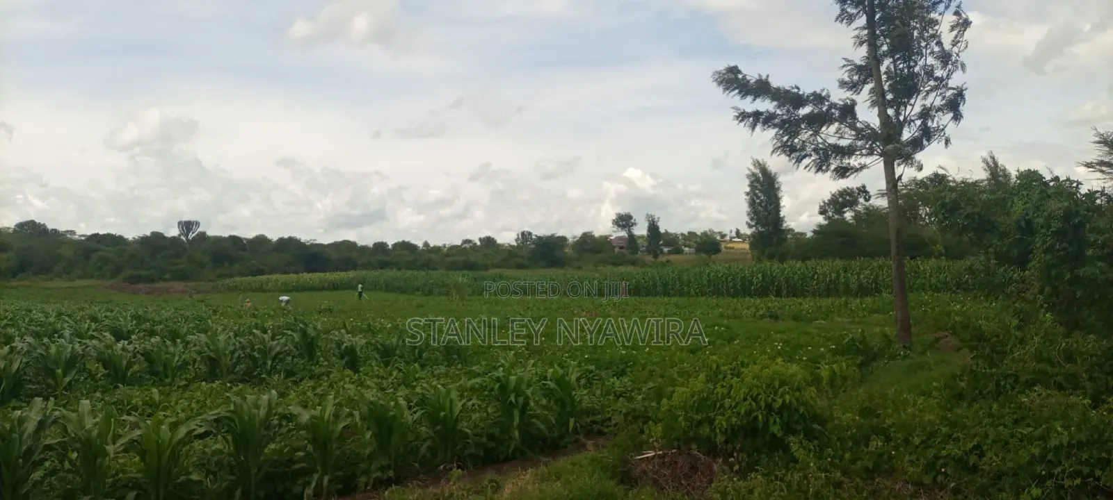 40 Acre Fronting River and Tarmac Road Nanyuki Lamuria