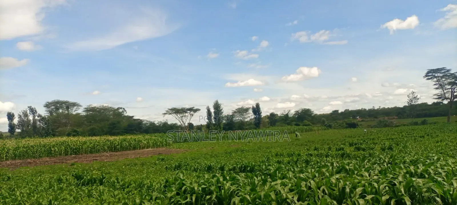 40 Acre Fronting River and Tarmac Road Nanyuki Lamuria