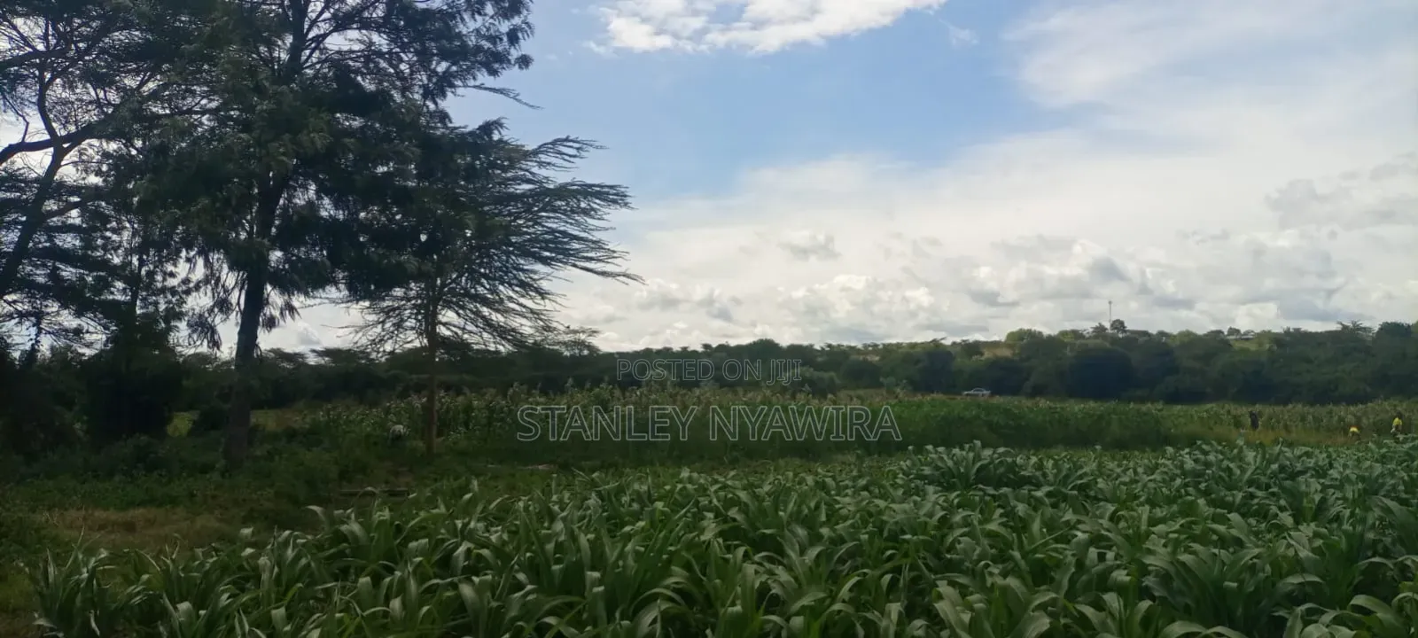 40 Acre Fronting River and Tarmac Road Nanyuki Lamuria