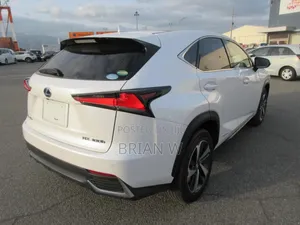 Lexus NX 300 AWD 2018 Pearl