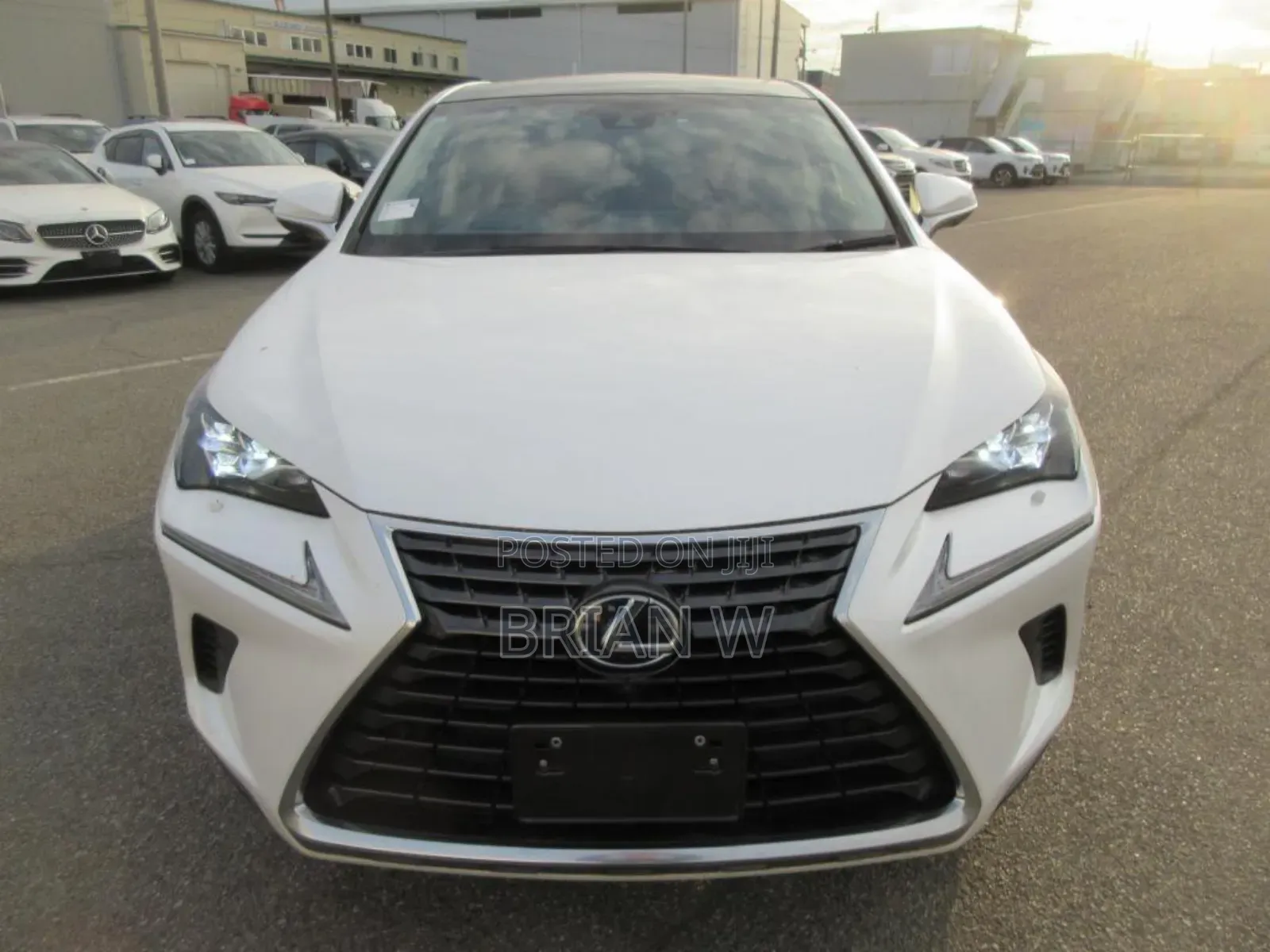Lexus NX 300 AWD 2018 Pearl