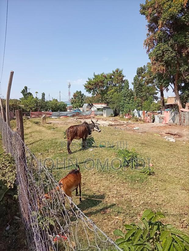 Land for Sale - thumbnail 3