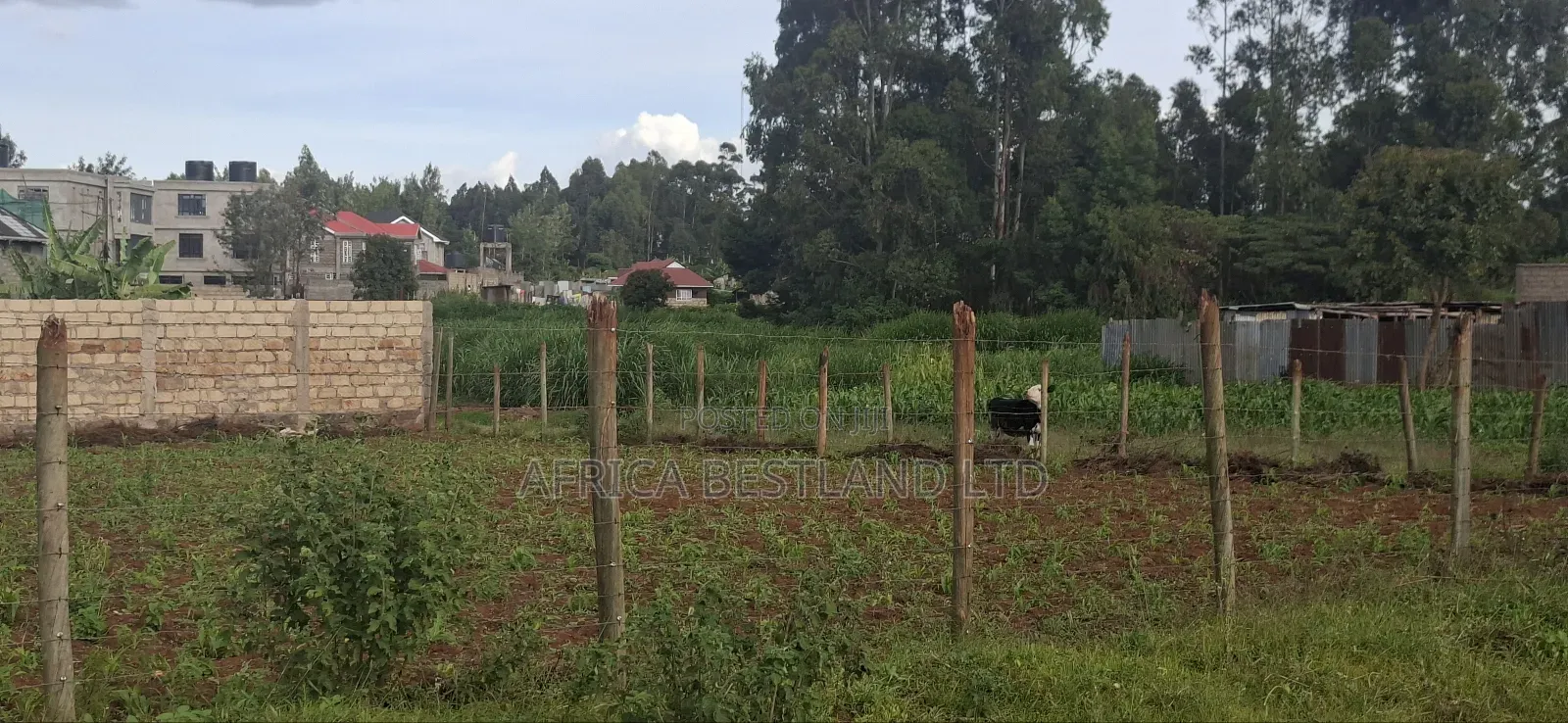 Prime 100x100 Plot for Sale – Gikambura, Kikuyu