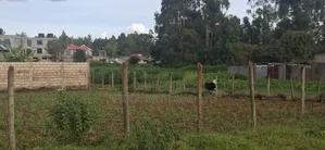 Prime 100x100 Plot for Sale – Gikambura, Kikuyu