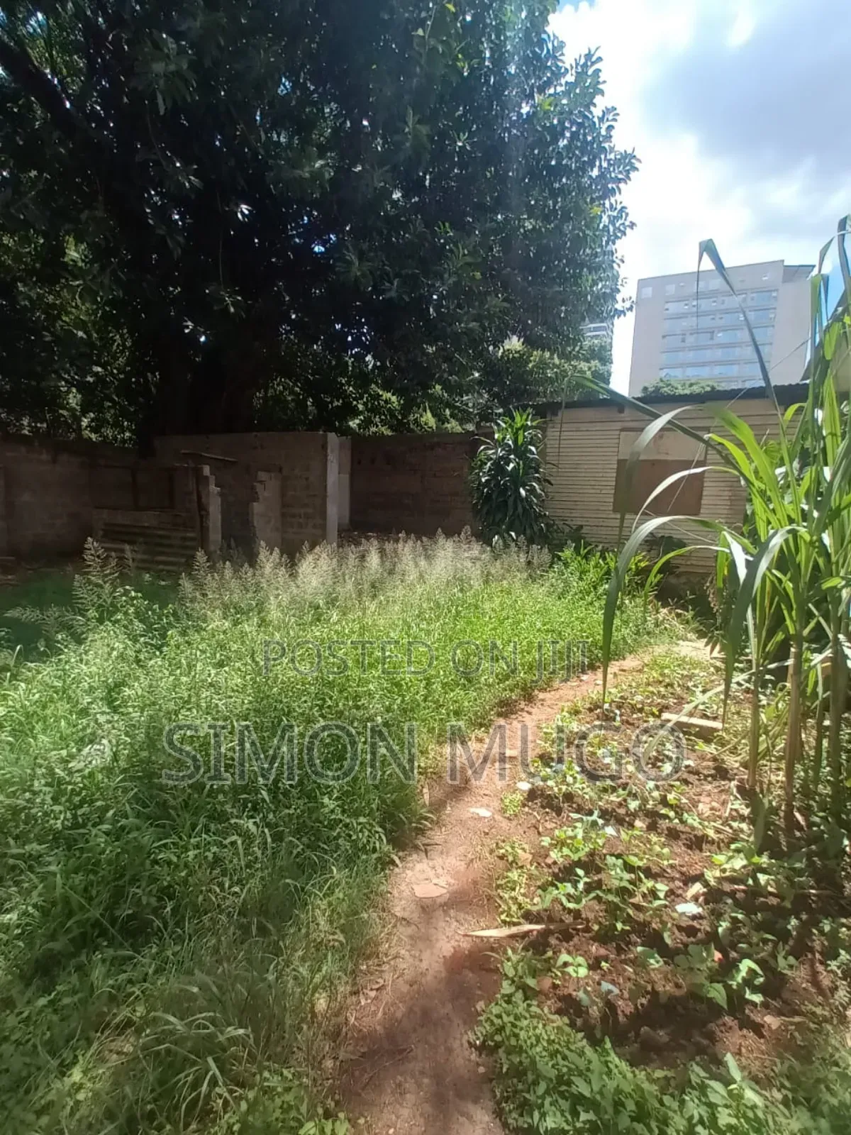 Muthithi Garden Kiambu Road Prime 1 Acre