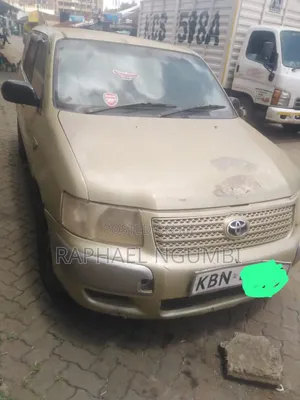 Toyota Succeed 2004 Beige
