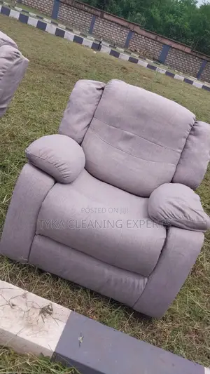 Seat Cleaning