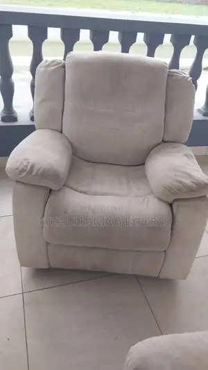 Seat Cleaning