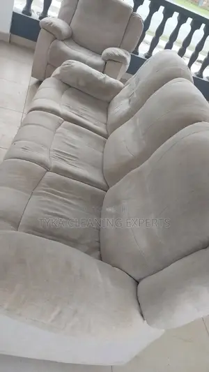 Seat Cleaning