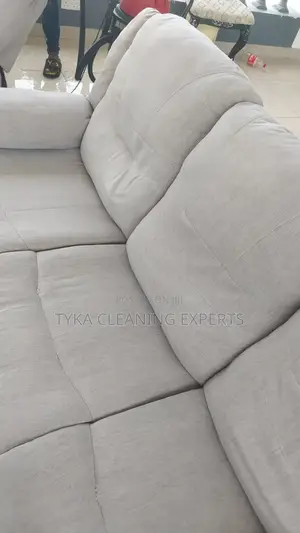 Seat Cleaning