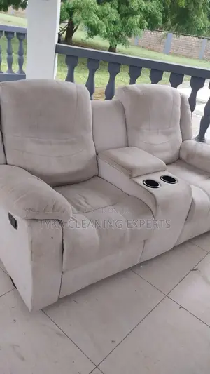 Seat Cleaning
