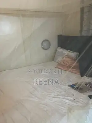 King Size Bed Plus Orthopedic Mattress