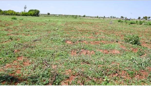 Kenneret View Plot ,Imbirikani (Loitokitok) - thumbnail 5