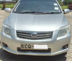 Toyota Axio 2011 Silver