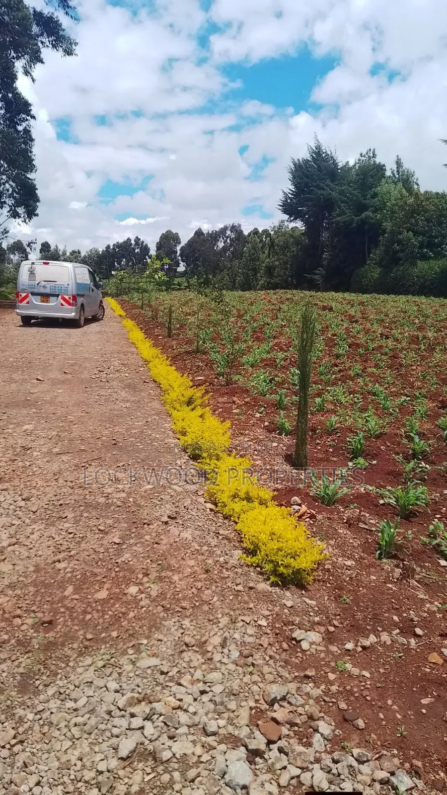 Land for Sale