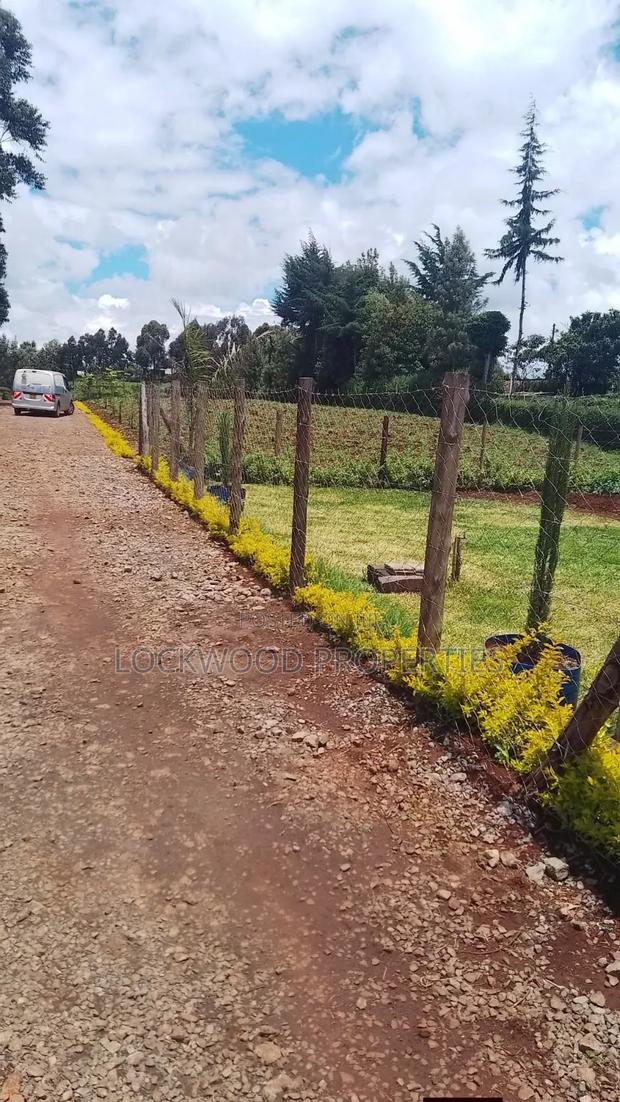 Land for Sale - thumbnail 5
