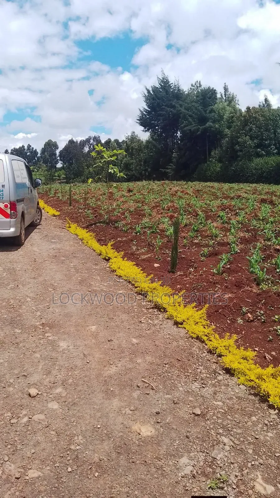 Land for Sale