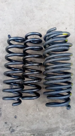 BMW X1 Heavy Duty Springs