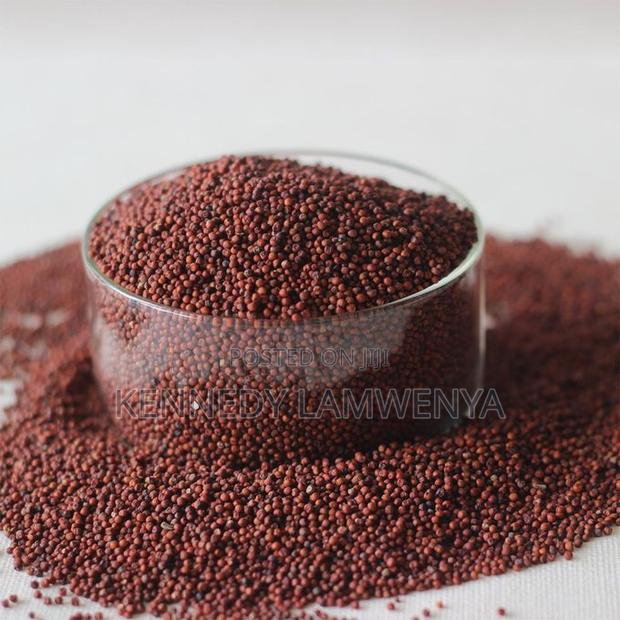 Premium Finger Millet. Clean, Fresh, Export Grade