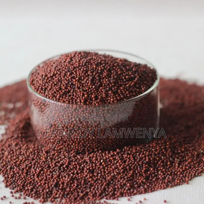 Premium Finger Millet. Clean, Fresh, Export Grade