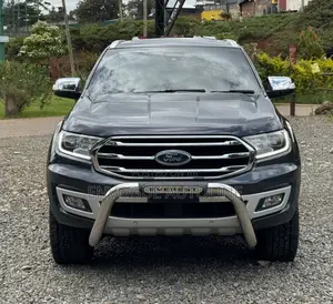 Ford Everest 2020 Gray