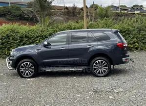 Ford Everest 2020 Gray