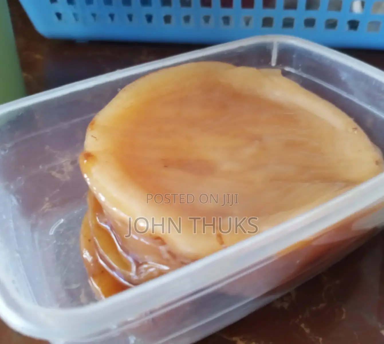 Scoby for Kombucha