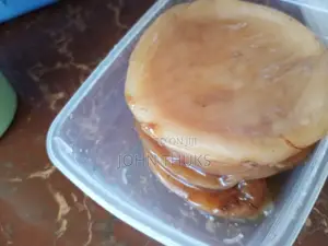 Scoby for Kombucha