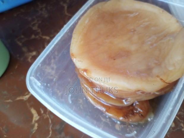 Scoby for Kombucha - thumbnail 2